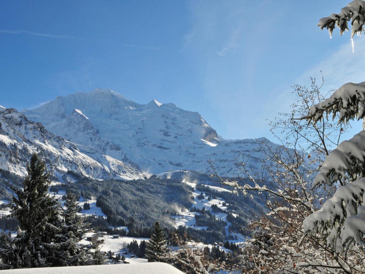 Apartment Eiger Residence Apt-A-425 By Interhome Wengen Dış mekan fotoğraf